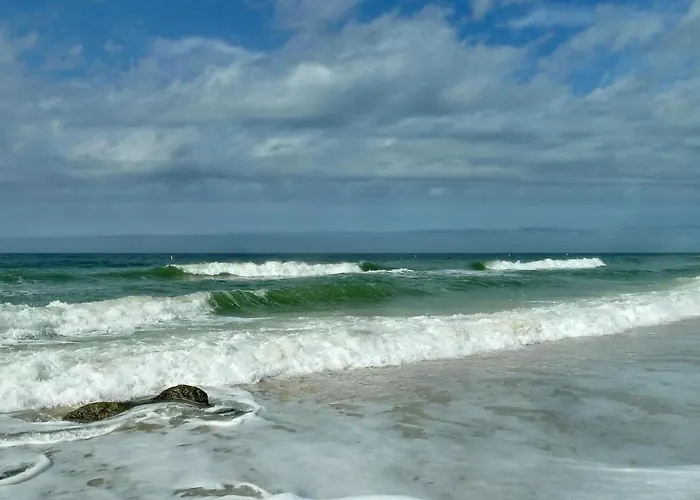 Sea Shell 24