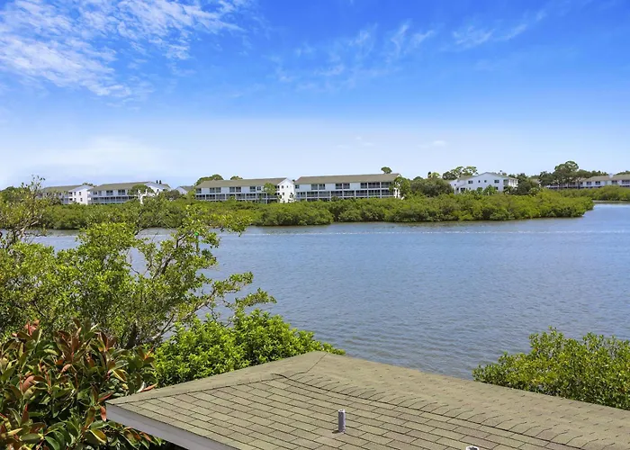 Sea Shell 24 *